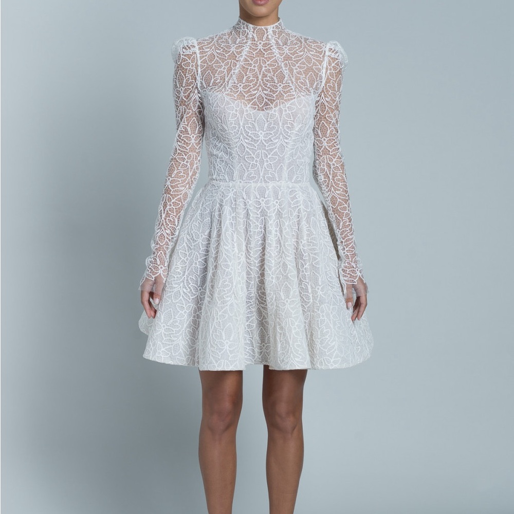Rime Arodaky Frankie Embroidered Tulle Mini Dress